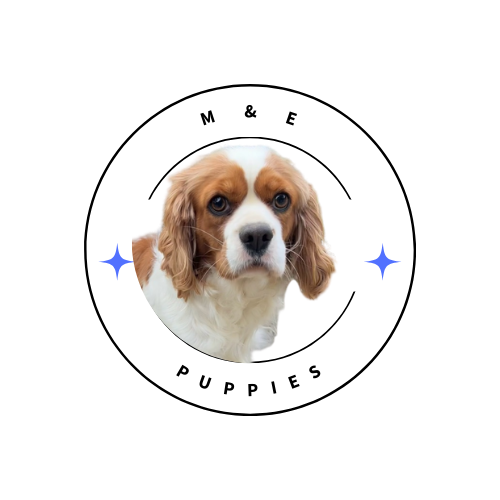 M & E Puppies